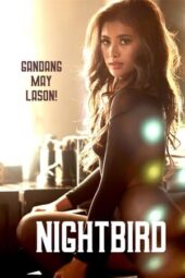 Nightbird (2023) sub indo Nonton film Semi Filipina